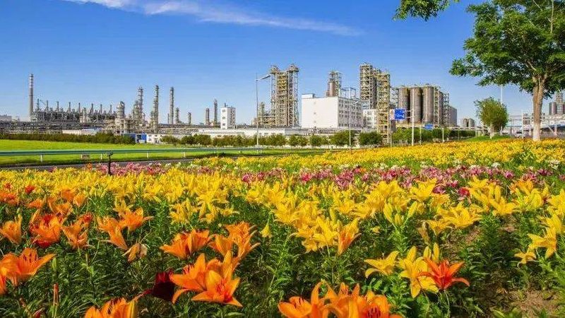 纺织印染助剂：揭秘品牌对比背后的技术奥秘